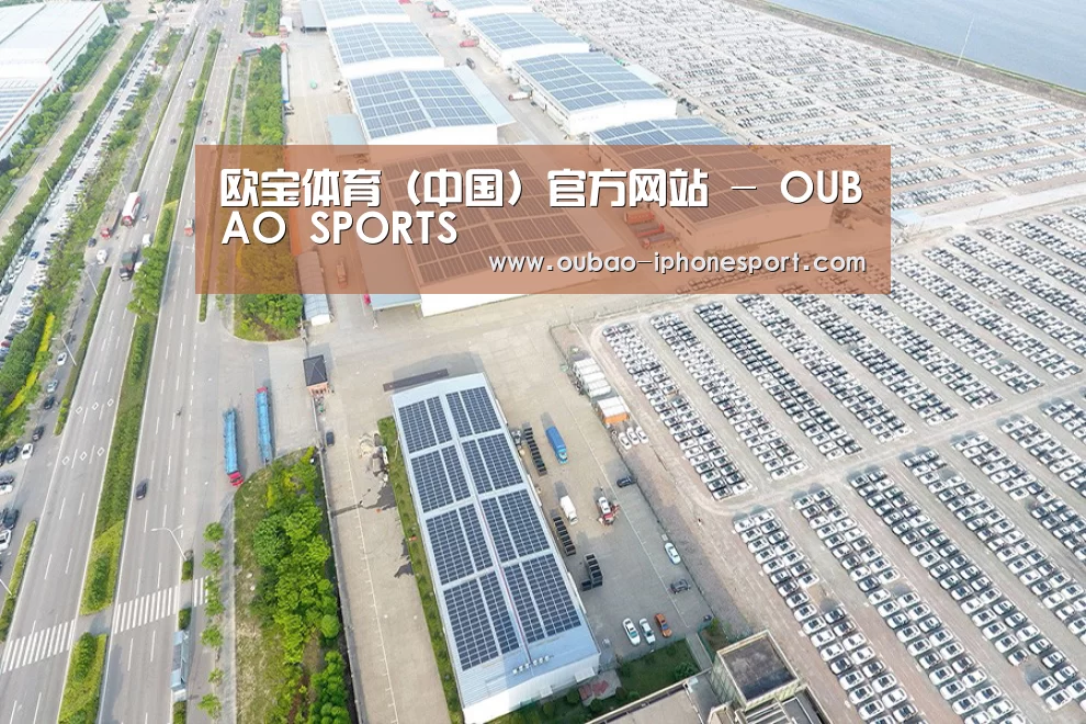 案例展示一
