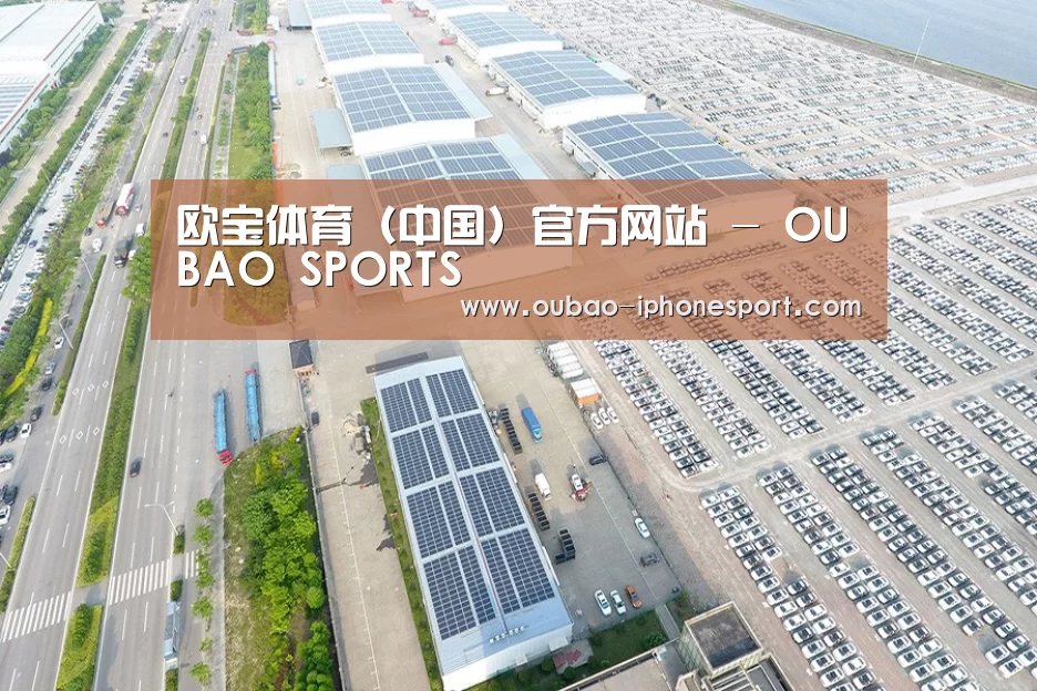 案例展示四