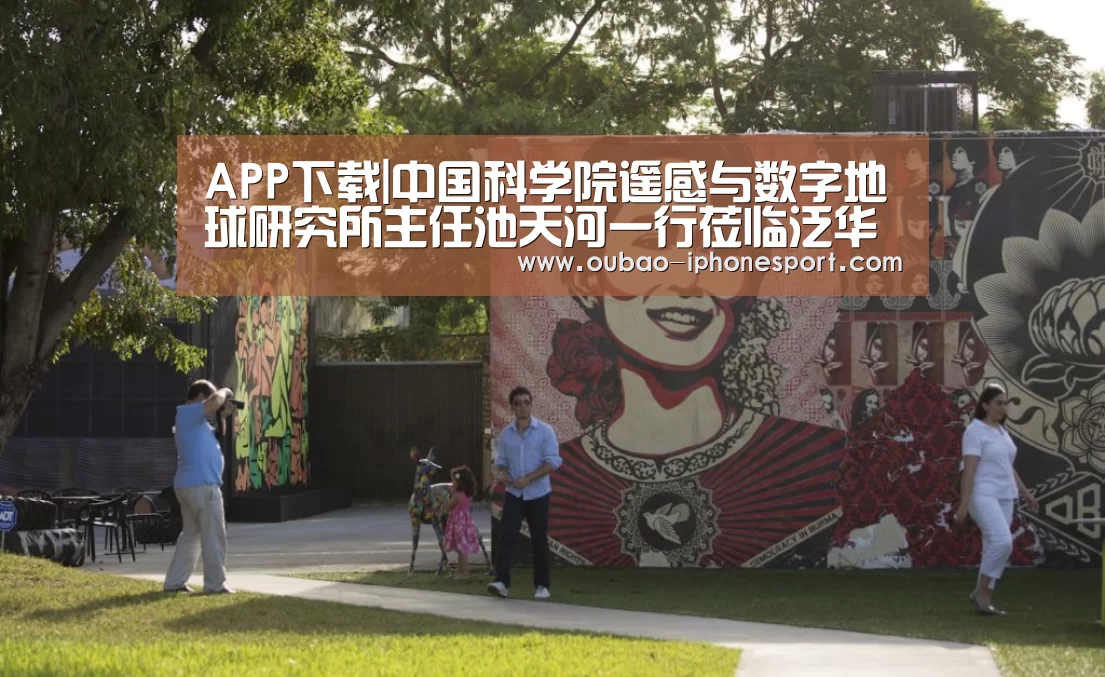 官方应用