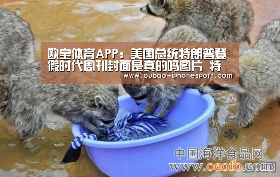 欧宝体育APP:美国总统特朗普登假时代周刊封面是真的吗图片 特朗普回击(图1) Android下载
