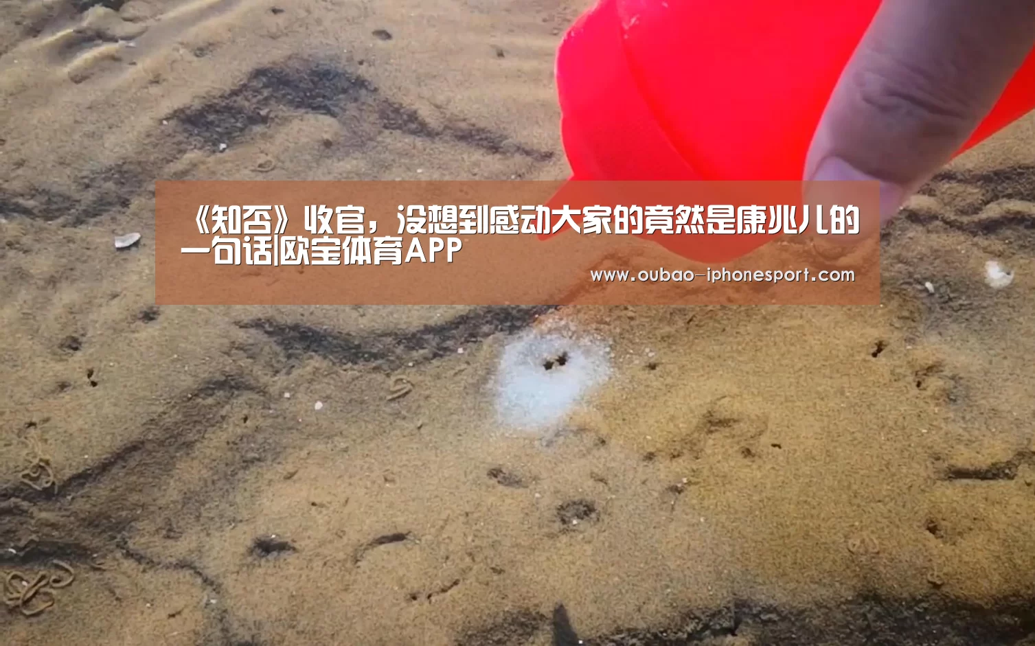 《知否》收官,没想到感动大家的竟然是康兆儿的一句话|欧宝体育APP(图2) iOS下载